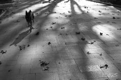 APhoto-10