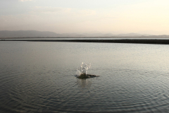 APhoto-14
