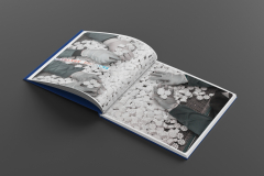 Mockups Design